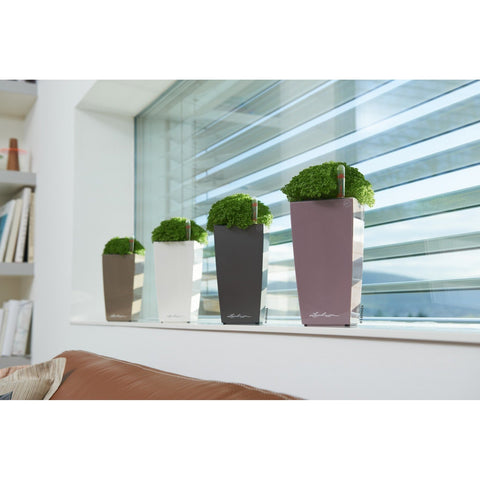 Lechuza Maxi Cubi Self Watering Pot