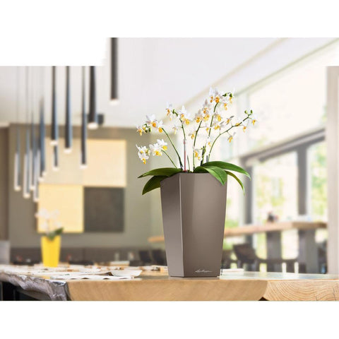 Lechuza Maxi Cubi Self Watering Pot