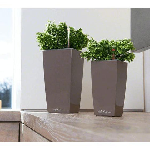 Lechuza Maxi Cubi Self Watering Pot