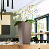 Image of Lechuza Maxi Cubi Self Watering Pot