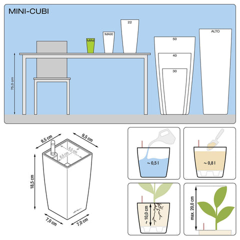 Lechuza Mini Cubi Self Watering Pot