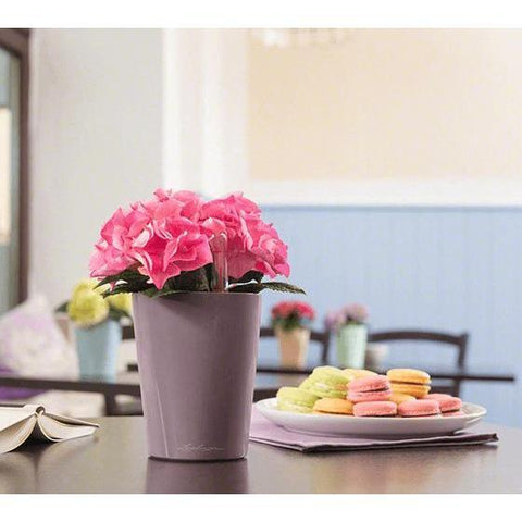 Lechuza Mini Deltini Self Watering Pot