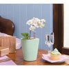 Image of Lechuza Mini Deltini Self Watering Pot