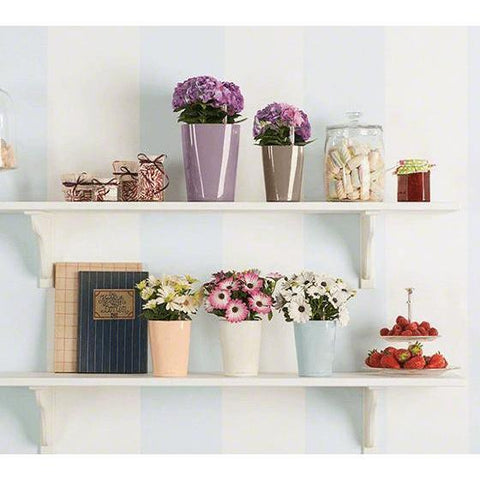 Lechuza Mini Deltini Self Watering Pot