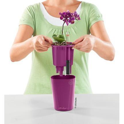 Lechuza Mini Deltini Self Watering Pot With Owl