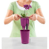 Image of Lechuza Mini Deltini Self Watering Pot With Owl
