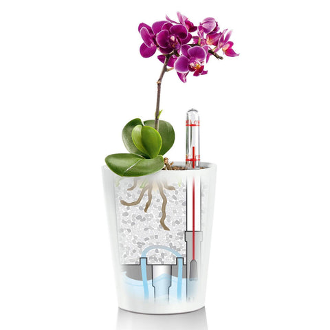 Lechuza Mini Deltini Self Watering Pot With Owl