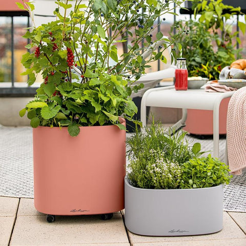 Lechuza PILA Planter 35