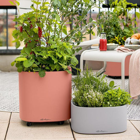 Lechuza PILA Stick Planter