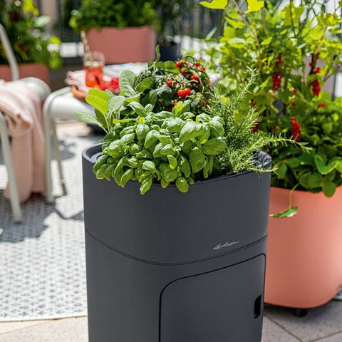 Lechuza PILA Stick Planter