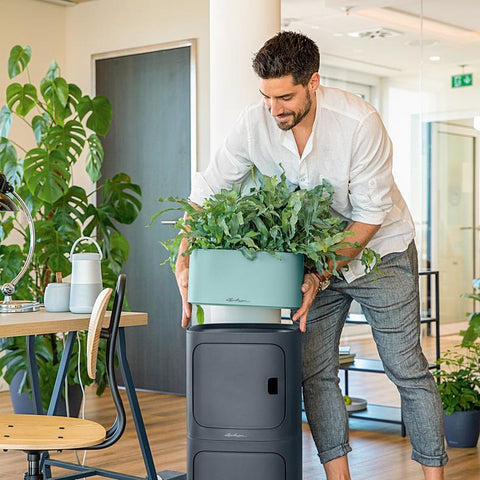 Lechuza PILA Stick Planter