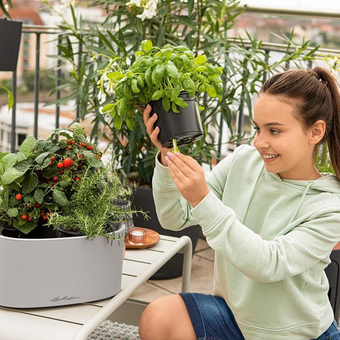 Lechuza PILA Stick Planter