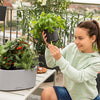 Image of Lechuza PILA Stick Planter