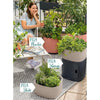 Image of Lechuza PILA Stick Planter