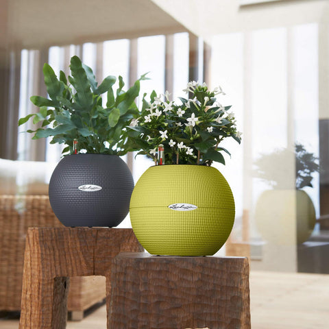 Lechuza Puro 20 Diameter Self Watering Pot - 20cm