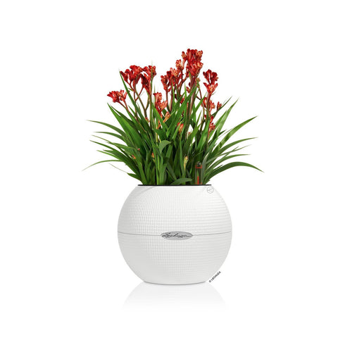 Lechuza Puro 20 Diameter Self Watering Pot - 20cm
