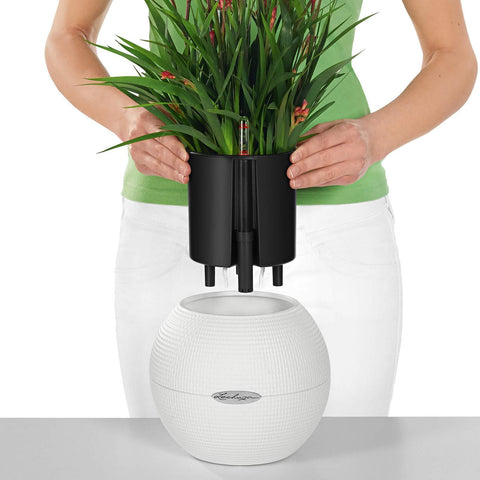Lechuza Puro 20 Diameter Self Watering Pot - 20cm
