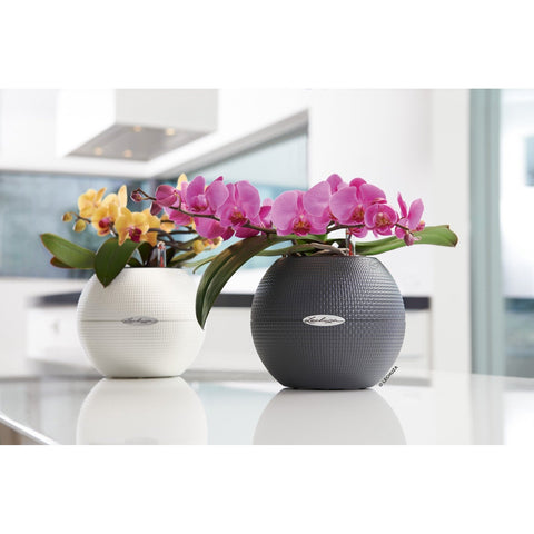 Lechuza Puro 20 Diameter Self Watering Pot - 20cm