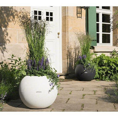 Lechuza Puro 20 Diameter Self Watering Pot - 20cm