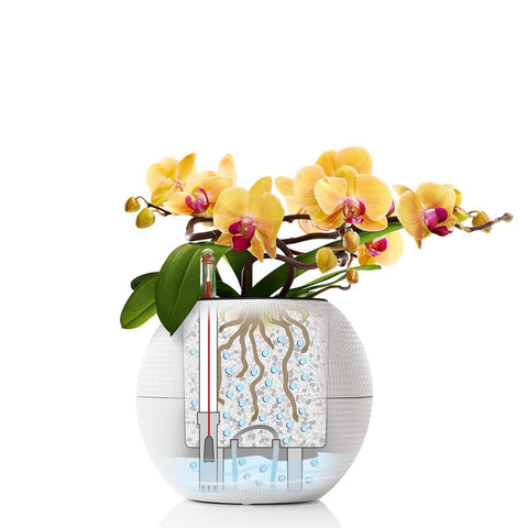 Lechuza Puro 20 Diameter Self Watering Pot - 20cm