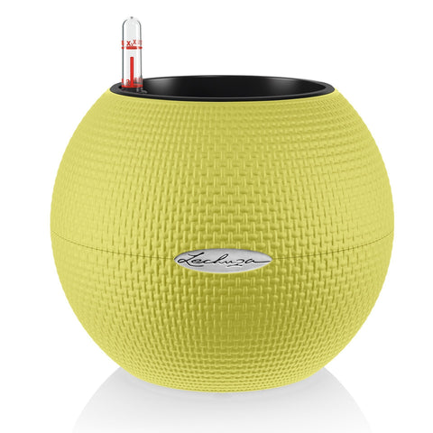 Lechuza Puro 20 Diameter Self Watering Pot - 20cm