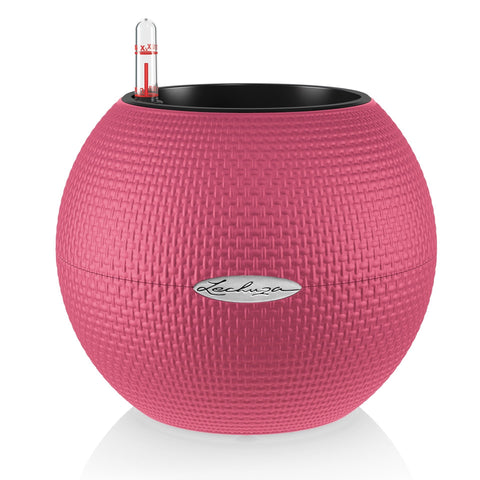 Lechuza Puro 20 Diameter Self Watering Pot - 20cm