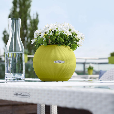 Lechuza Puro 20 Diameter Self Watering Pot - 20cm
