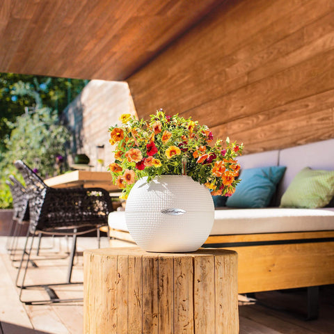 Lechuza Puro 20 Diameter Self Watering Pot - 20cm