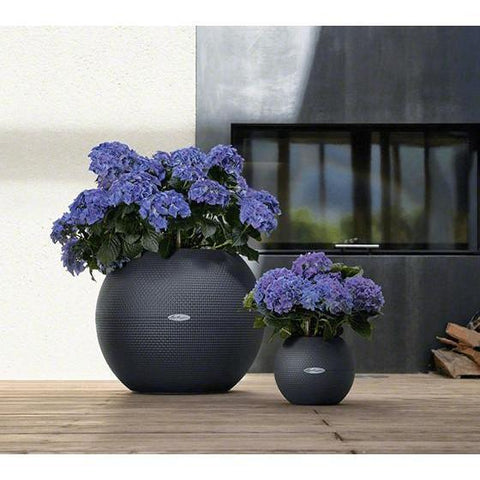 Lechuza Puro 20 Diameter Self Watering Pot - 20cm