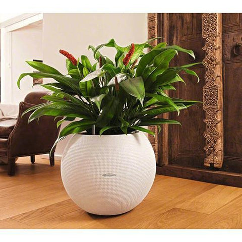 Lechuza Puro 20 Diameter Self Watering Pot - 20cm