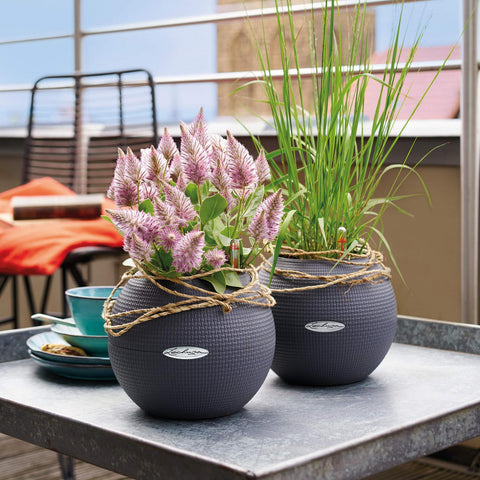 Lechuza Puro 20 Diameter Self Watering Pot - 20cm
