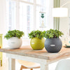 Image of Lechuza Puro 20 Diameter Self Watering Pot - 20cm