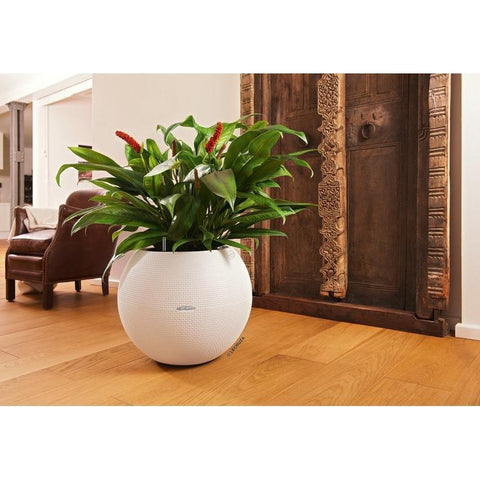 Lechuza Puro 50 Self Watering Pot - 50cm