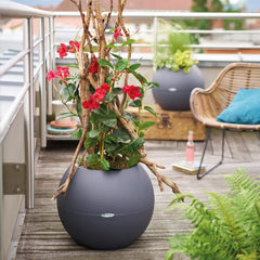 Lechuza Puro 50 Self Watering Pot - 50cm