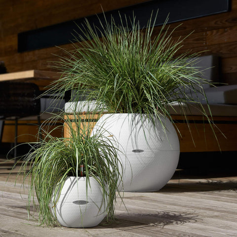 Lechuza Puro 50 Self Watering Pot - 50cm