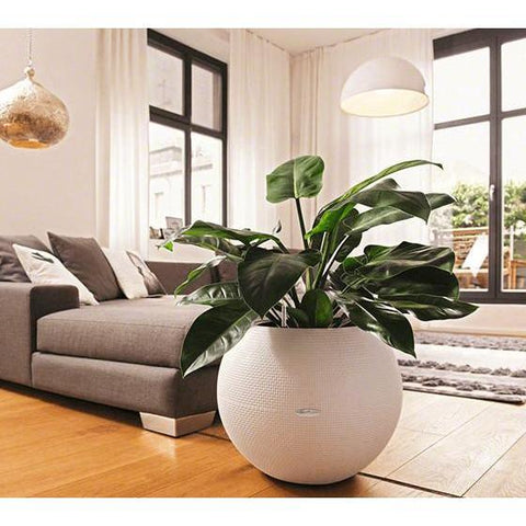 Lechuza Puro 50 Self Watering Pot - 50cm