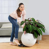 Image of Lechuza Puro 50 Self Watering Pot - 50cm