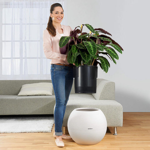 Lechuza Puro 50 Self Watering Pot - 50cm