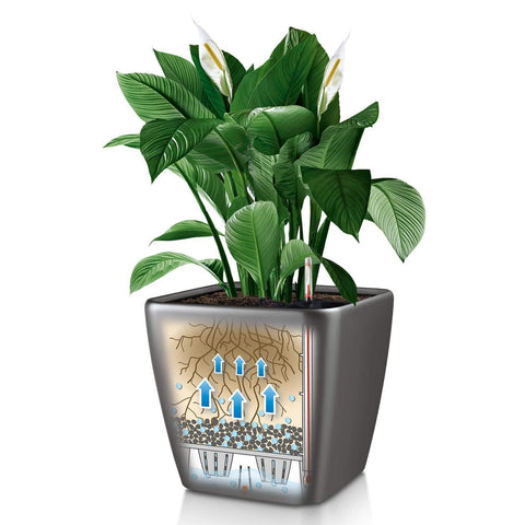 Lechuza Quadro LS 21 Self Watering Pot - 21cm