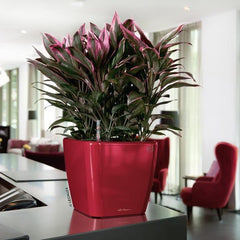 Lechuza Quadro LS 21 Self Watering Pot - 21cm