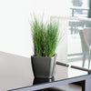 Image of Lechuza Quadro LS 28 Self Watering Pot - 28cm