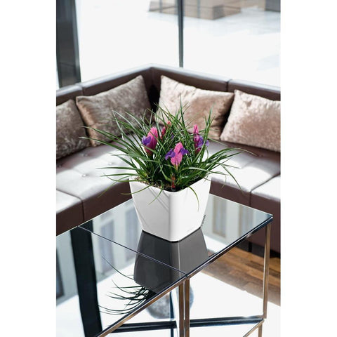 Lechuza Quadro LS 28 Self Watering Pot - 28cm
