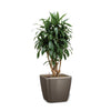 Image of Lechuza Quadro LS 50 Self Watering Pot - 50cm