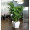 Image of Lechuza Quadro LS 50 Self Watering Pot - 50cm