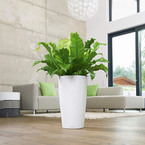 Lechuza Rondo 32 Self Watering Pot - 32cm