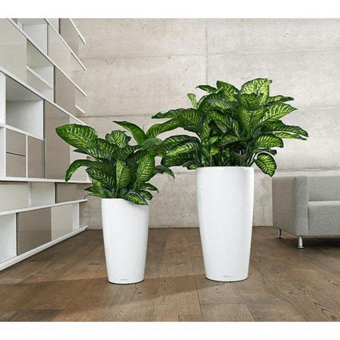 Lechuza Rondo 32 Self Watering Pot - 32cm