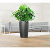Image of Lechuza Rondo 32 Self Watering Pot - 32cm