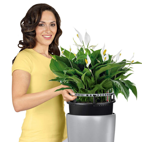 Lechuza Rondo 32 Self Watering Pot - 32cm