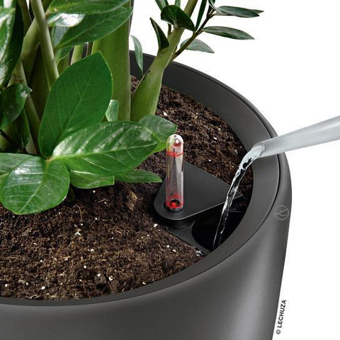 Lechuza Rondo 32 Self Watering Pot - 32cm