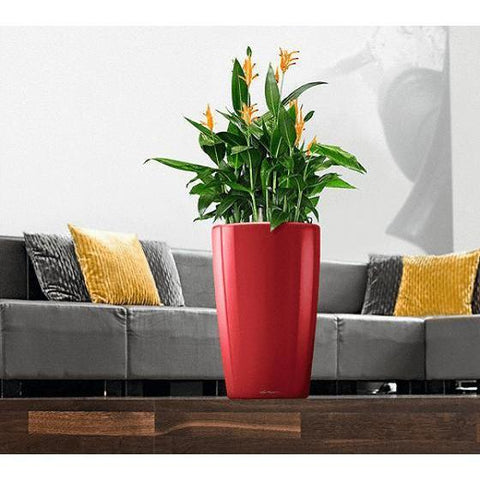 Lechuza Rondo 32 Self Watering Pot - 32cm